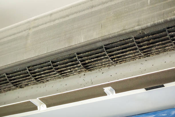 Best Air Duct Cleaning Near Me  in Tarrant, AL