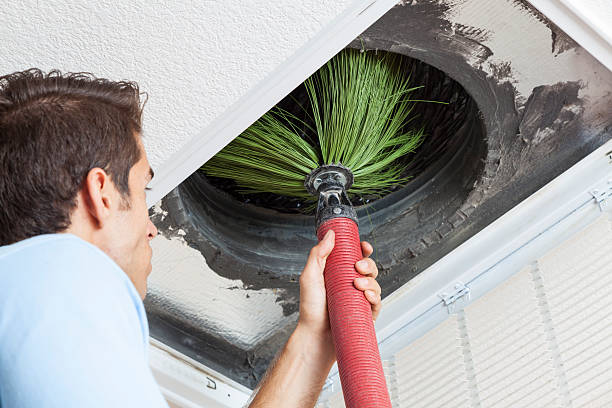 Best Ductwork Cleaning Services  in Tarrant, AL